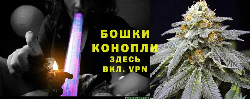 продажа наркотиков  Бежецк  Бошки Шишки Bruce Banner 